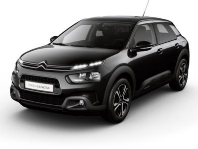 Citroën C4 Cactus PURETECH 110 S&S BUSINESS (Navigatie - PDC voor en achter - Cruise control) Winterdeal
