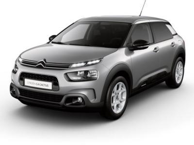Citroën C4 Cactus 1.2 PureTech Business (Navigatie DAB+ - Parkeersensoren voor en achter - Cruise control) Winterdeal