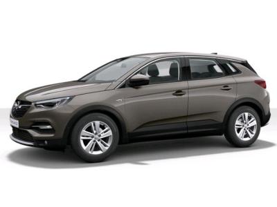 Opel Grandland X 1.2 Turbo S/S Elegance A8 96KW - DRIESSEN VOORDEEL ook mogelijk met private lease