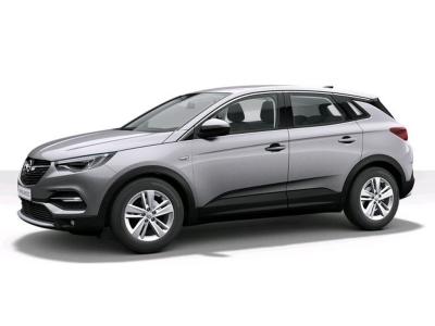 Opel Grandland X 1.2 Turbo Business Elegance - DRIESSEN VOORDEEL ook mogelijk met private lease